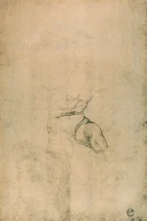 Male Nude, Study